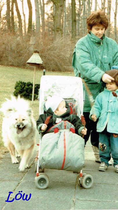 März 1989 -  Familienhund
